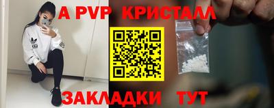 прущие грибы Гусиноозёрск