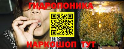 spice Гусь-Хрустальный