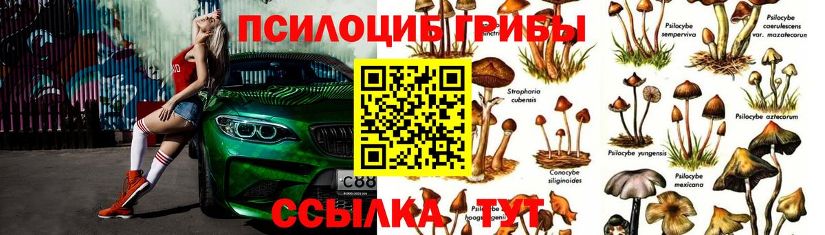 Нефтекамск  Псилоцибиновые грибы мухоморы  Вход с VPN 
